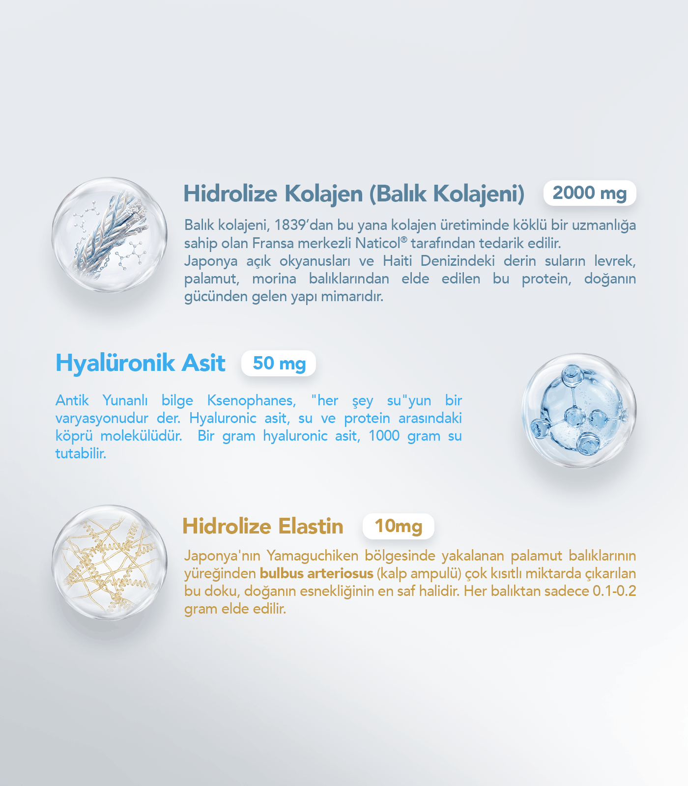 Barbaris Collagen Elastin&Silicium 30 Tablet - 3 Paket - Görsel 8